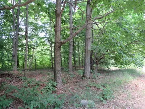 Vl E 16 Road, Manton, MI 49663 photo 21