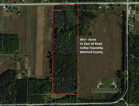Vl E 16 Road, Manton, MI 49663