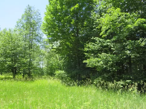 Vl E 16 Road, Manton, MI 49663 photo 18