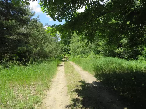 Vl E 16 Road, Manton, MI 49663 photo 24