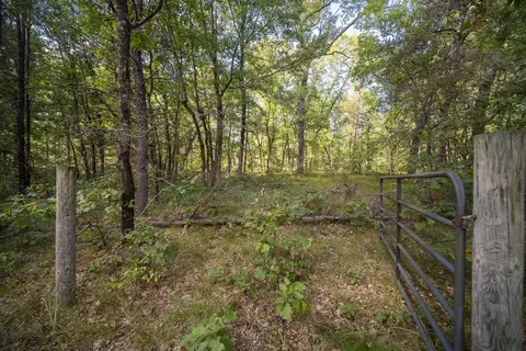 Rybicki Road, Free Soil, MI 49411