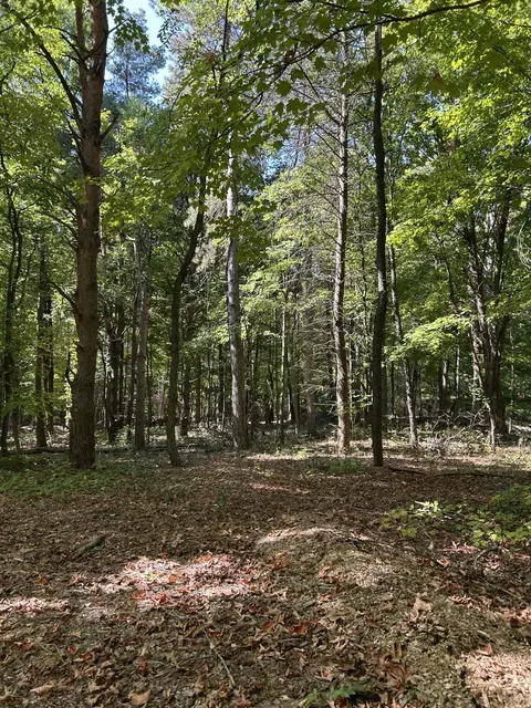 9144 Sailor Dr, Byron Center, MI 49315