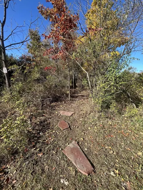 Other - 928 Flint Rd, Coldwater, MI 49036 photo 28 of 33