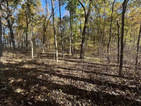 Exterior - 928 Flint Rd, Coldwater, MI 49036 photo 25 of 25