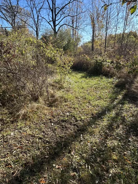 Other - 928 Flint Rd, Coldwater, MI 49036 photo 20 of 33