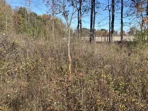 Other - 928 Flint Rd, Coldwater, MI 49036 photo 17 of 33
