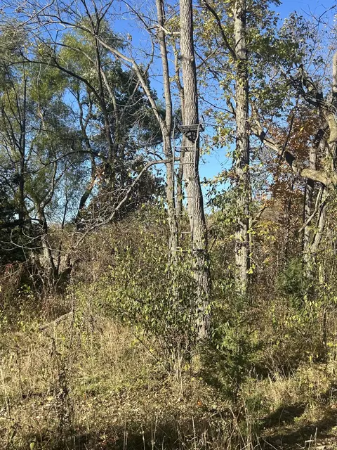 Other - 928 Flint Rd, Coldwater, MI 49036 photo 19 of 33
