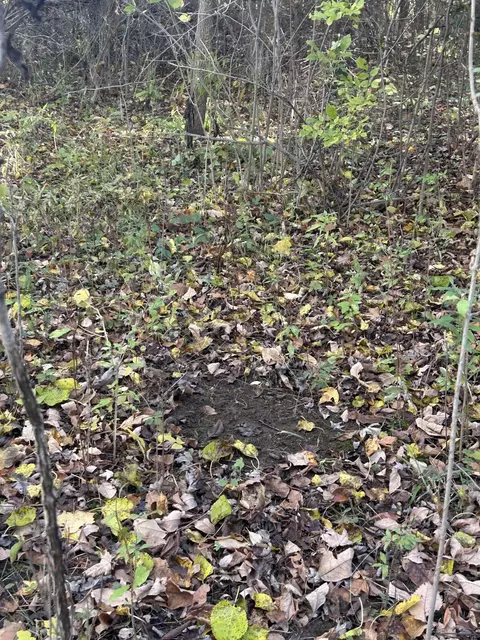Other - 928 Flint Rd, Coldwater, MI 49036 photo 22 of 33