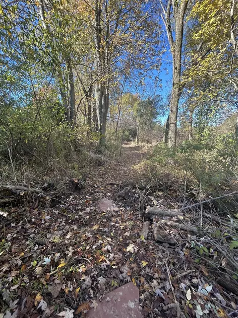 Other - 928 Flint Rd, Coldwater, MI 49036 photo 31 of 33