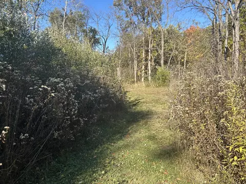 Exterior - 928 Flint Rd, Coldwater, MI 49036 photo 20 of 25