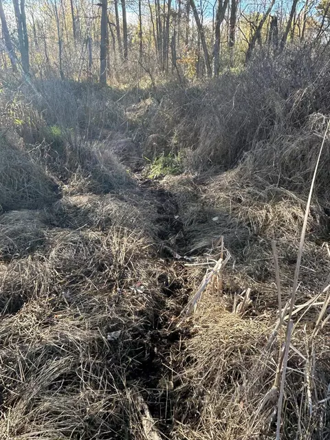 Other - 928 Flint Rd, Coldwater, MI 49036 photo 32 of 33