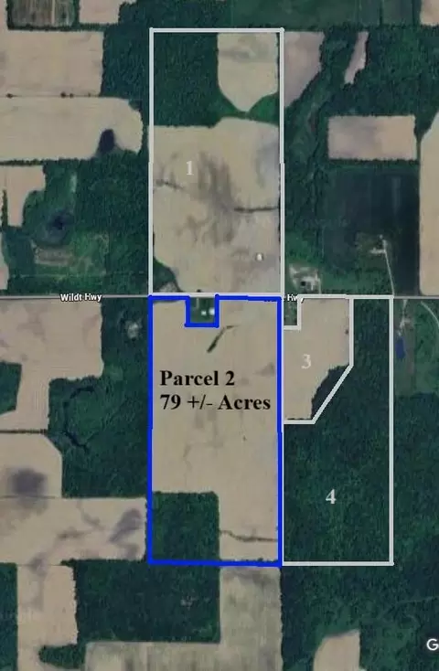 Wildt Highway, Bellevue, MI 49021