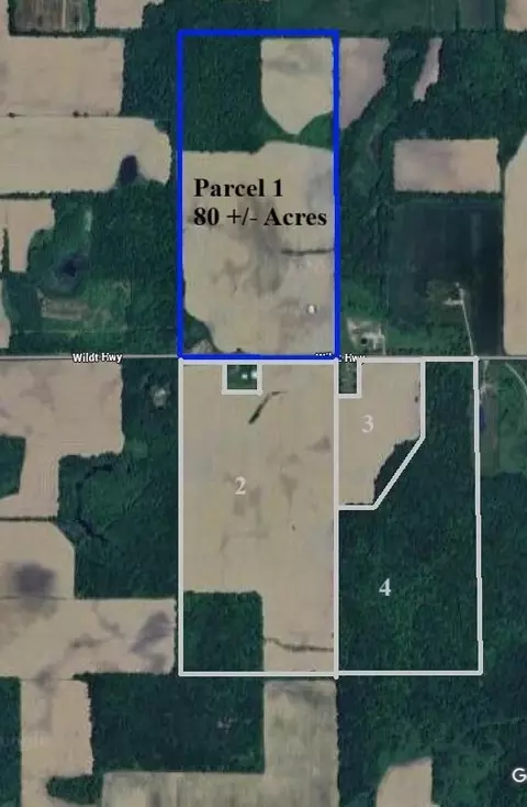 Wildt Highway, Bellevue, MI 49021