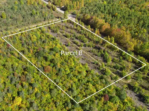 Parcel B Homestead Road, Beulah, MI 49617