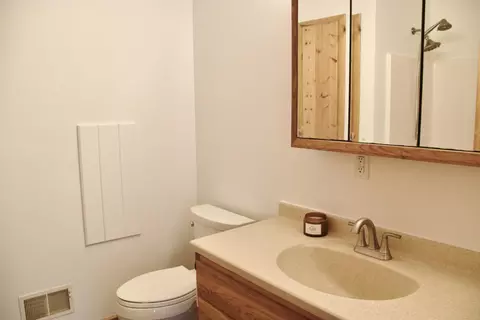 8668 Anne Dr, Walkerville, MI 49459 photo 30