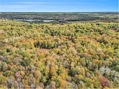 8668 Anne Dr, Walkerville, MI 49459 photo 6