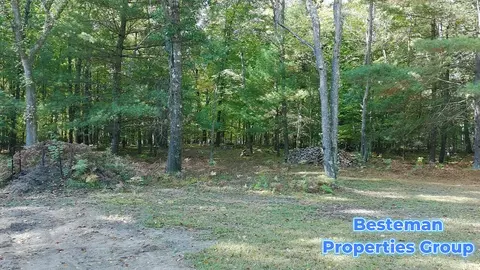 4175 Beech Ave, Newaygo, MI 49337 photo 5