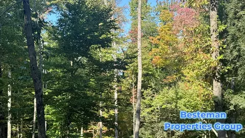 4175 Beech Ave, Newaygo, MI 49337 photo 8