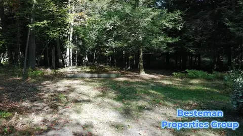 4175 Beech Ave, Newaygo, MI 49337 photo 12