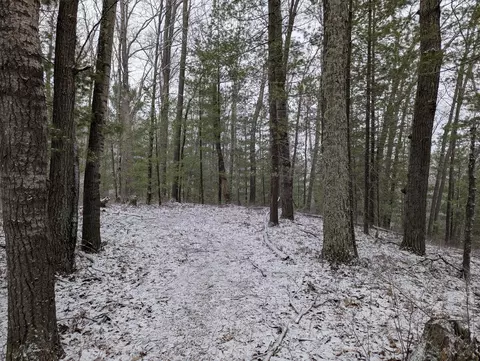 V/l 0000 W Crooked Lake Rd, Lake City, MI 49651