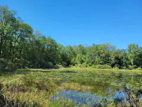 lot S 1-9 Cranberry St, Wellston, MI 49689