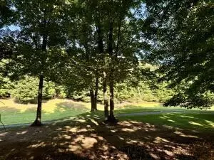 9539 Aberdeen Ct, Canadian Lakes, MI 49346