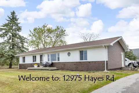 12975 Hayes Rd, Cement City, MI 49233