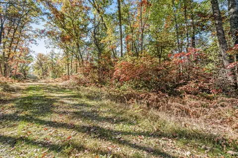 V/l Hughes St, Idlewild, MI 49642