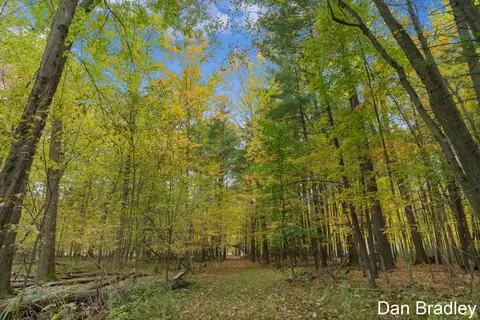 4299 Grow Rd NW, Stanton, MI 48888 photo 26