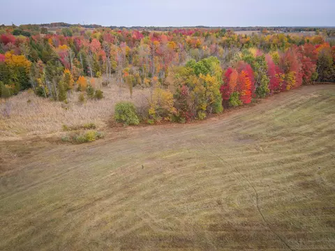 V/l E Harrison Road, Walkerville, MI 49459 photo 7