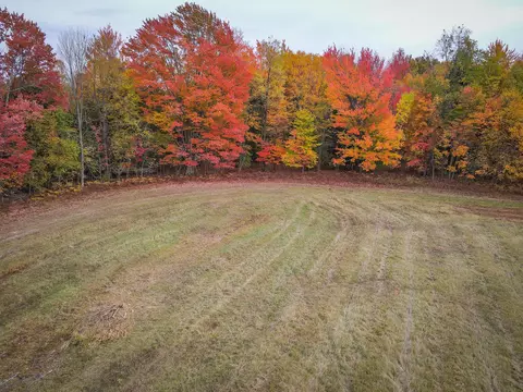 V/l E Harrison Road, Walkerville, MI 49459 photo 13