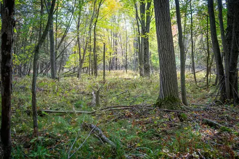 V/l E Harrison Road, Walkerville, MI 49459 photo 21