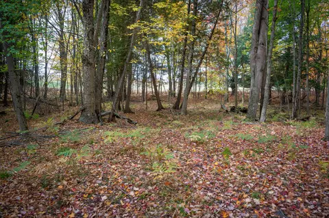 V/l E Harrison Road, Walkerville, MI 49459 photo 34