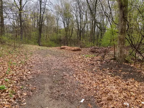 4546 W Dickman Rd, Springfield, MI 49037 photo 3