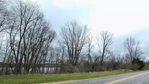 tbd N Derby Rd, Six Lakes, MI 48886