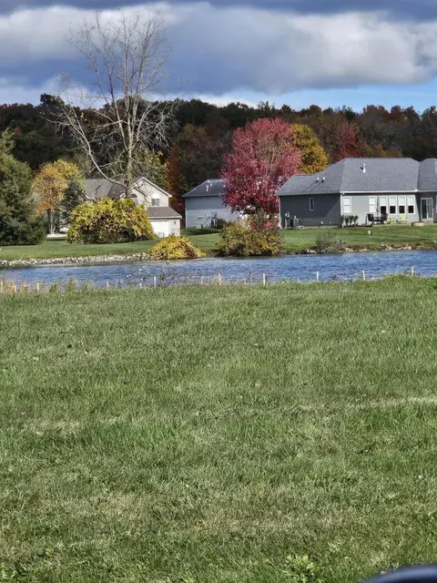 Castlebar Lane, Onsted, MI 49265