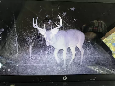 V/l 109th, Allegan, MI 49010
