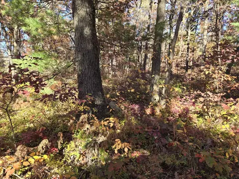 V/l M37, Baldwin, MI 49304