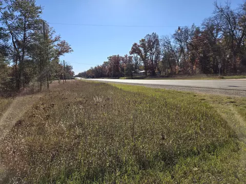V/l M37, Baldwin, MI 49304 photo 3