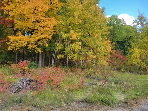 74016 Ridgeway Dr, Lawton, MI 49065