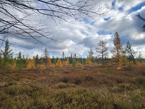 V/l Cadillac Drive, Lake, MI 48632