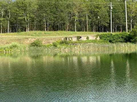4953 M-37, Baldwin, MI 49304 photo 3
