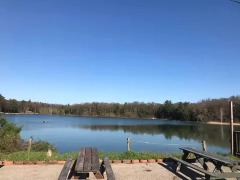 4953 M-37, Baldwin, MI 49304 photo 9