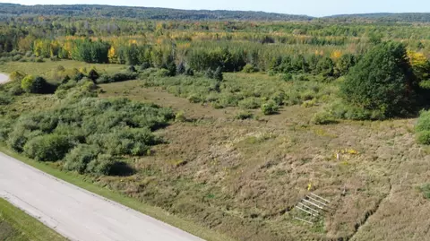 lot S 456 Fox Ln, Benzonia, MI 49616