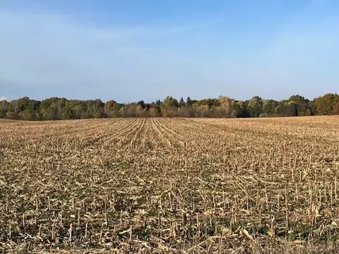 Wickwire Road, Benton Harbor, MI 49022