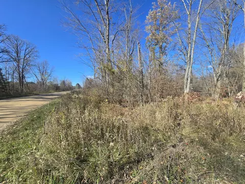 V/l E Cadillac Road, Merritt, MI 49667