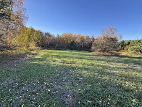 Exterior - 4116 Dutcher Rd, Gladwin, MI 48624 photo 36 of 40