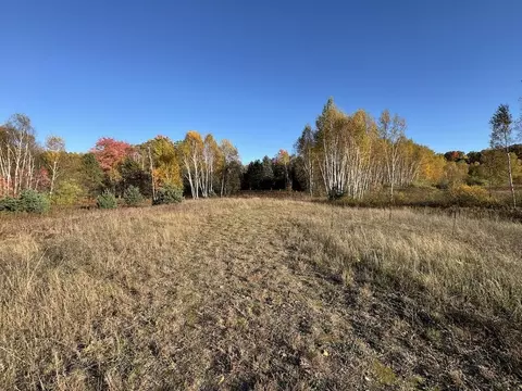 Other - 4116 Dutcher Rd, Gladwin, MI 48624 photo 34 of 45