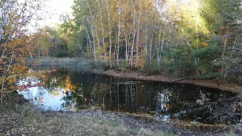 View/Area - 4116 Dutcher Rd, Gladwin, MI 48624 photo 3 of 14