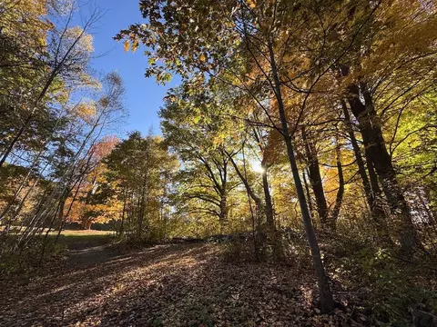 Other - 4116 Dutcher Rd, Gladwin, MI 48624 photo 24 of 45